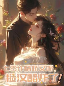 飞鸥不下简介